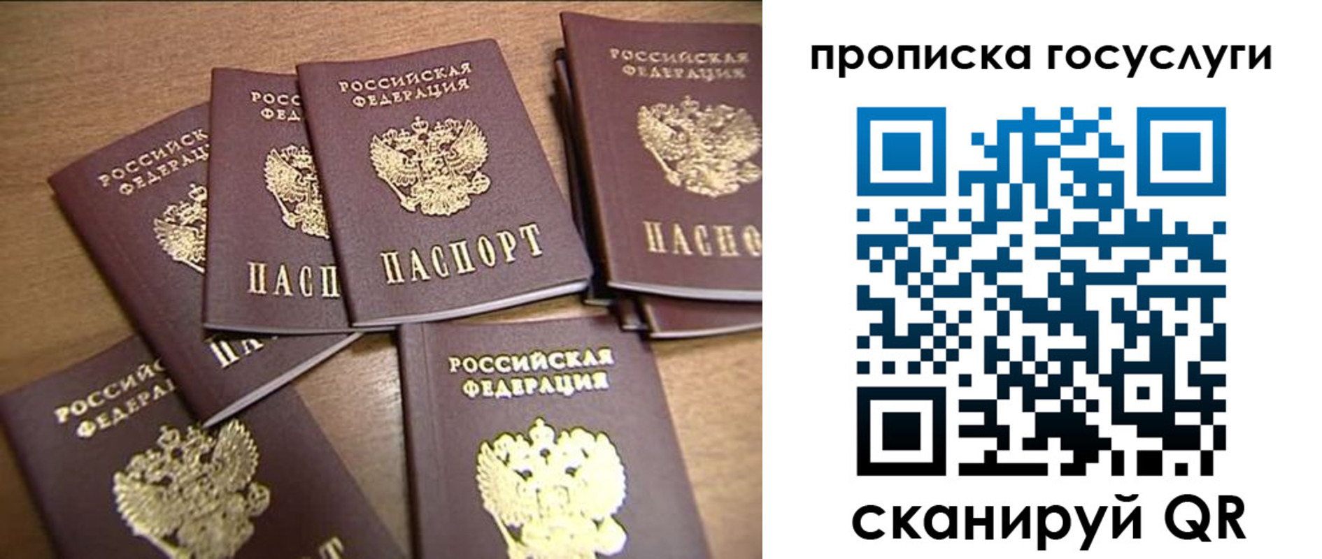 прописка для работы в Далматово